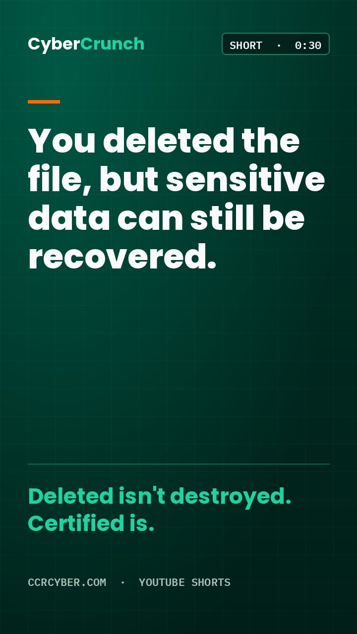 Poster for the CyberCrunch Short: Deleting files isn't destroying data